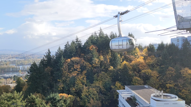 体調不良の原因♡紅葉ピーク過ぎたポートランド♡うっかり注意の記事動画
