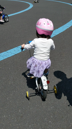 プリンセスの乗り物ですからの記事動画