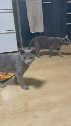 26日目の記事動画