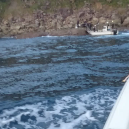 動画の記事動画