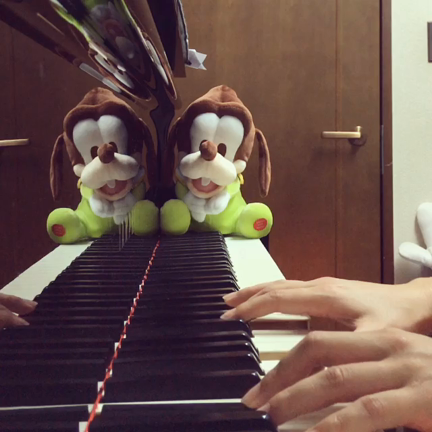 ピアノとおふさの記事動画