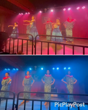 フラ三昧の1日の記事動画