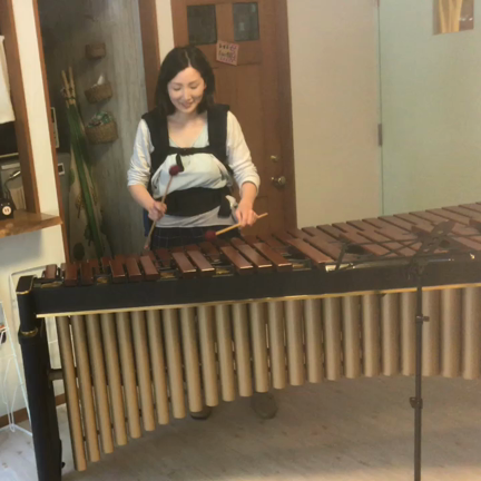 宇宙旅行コンサート楽器紹介【マリンバ】の記事動画