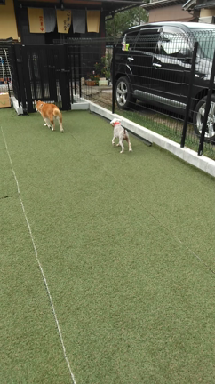 ご無沙汰です。の記事動画