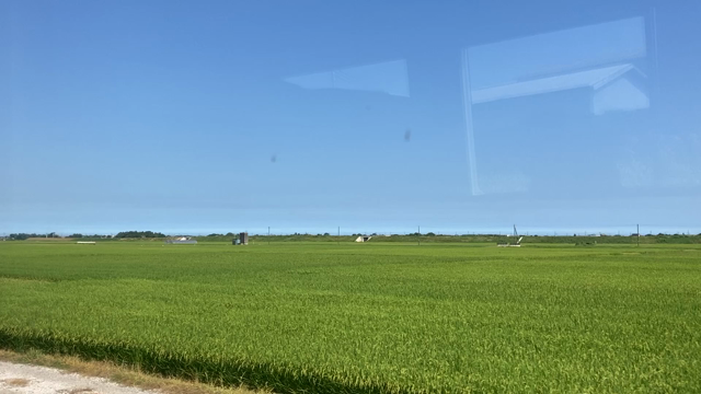 オススメスイーツの記事動画