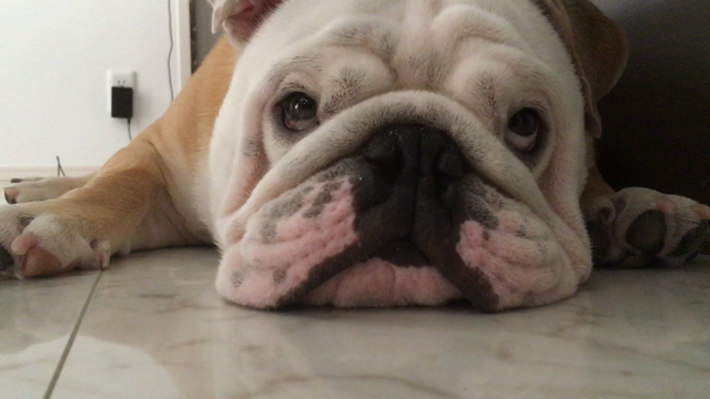 誕生日のおすそ分けの記事動画