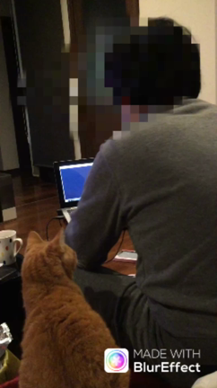 あれから1年の記事動画