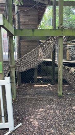 娘とデート in Houston Zooの記事動画