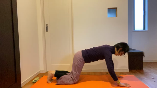 腕立て伏せできるようになりました！の記事動画