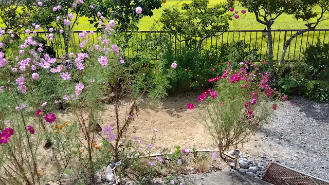 教本修了おめでとう！！の記事動画