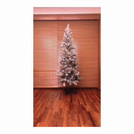 今日の万引き犯。の記事動画