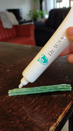 犬の歯磨き「ドクターワンデル」体験記。おすすめの理由と口コミもご紹介しますの記事動画