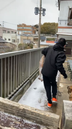 壱岐島に雪がめっちゃ積もった日。の記事動画