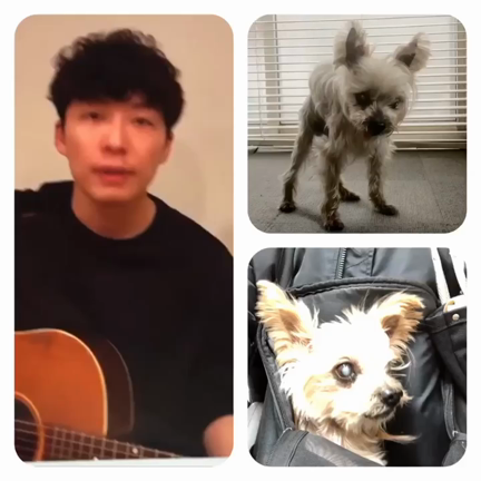 トトも、コラボ❣️の記事動画