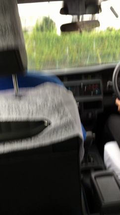 秋ですなーの記事動画