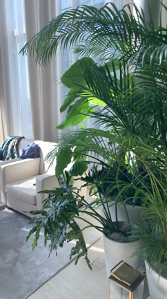 2/20(土)は東京エディション虎ノ門でアフタヌーンティーの記事動画