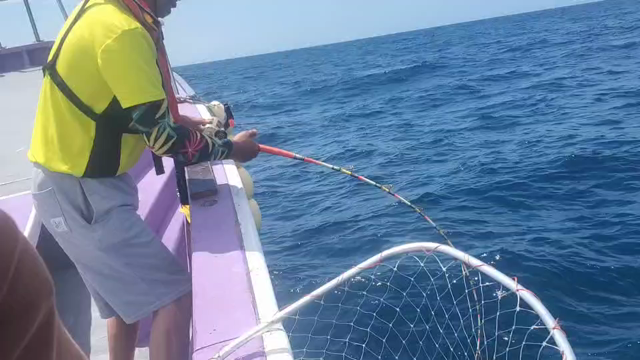 今日のハイライトの記事動画