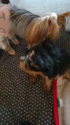 平成ありがとー‼️の記事動画