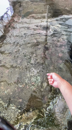 家族旅行in城崎　サビキの巻の記事動画