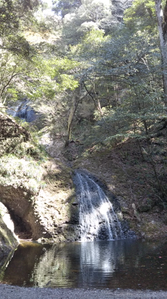 生きものである以上の記事動画