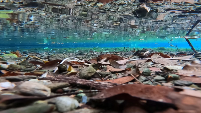 427ウエサク《 祀 》クサウエ724の記事動画