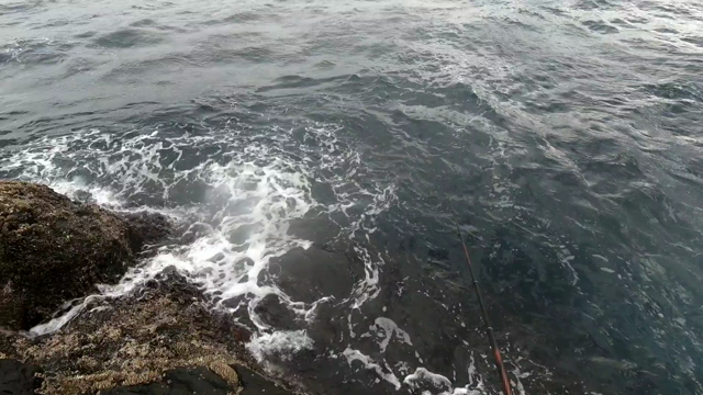 沖の島159／2019-49の記事動画