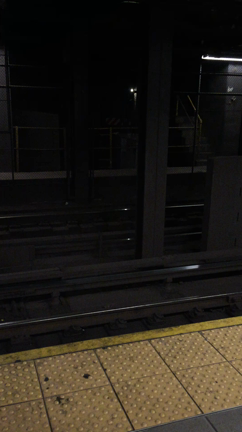 NY   subwayの記事動画