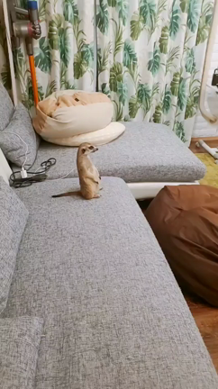 外泊する時はいつも、の記事動画