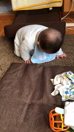 日々成長の記事動画