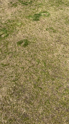 春ですね〜今週のお出かけいろいろ〜♪の記事動画