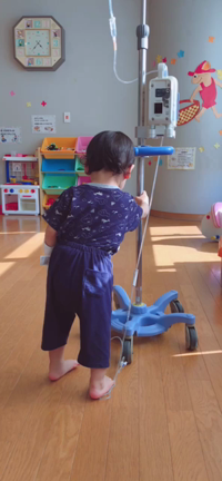 引っ越しの記事動画