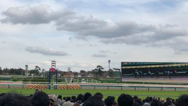 お誕生日会〜♡の記事動画