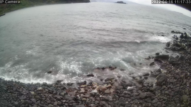 今日の川奈の記事動画