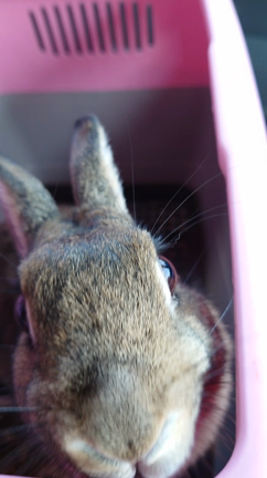 空き時間に…の記事動画