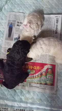 生後３週間(^ー^)の記事動画