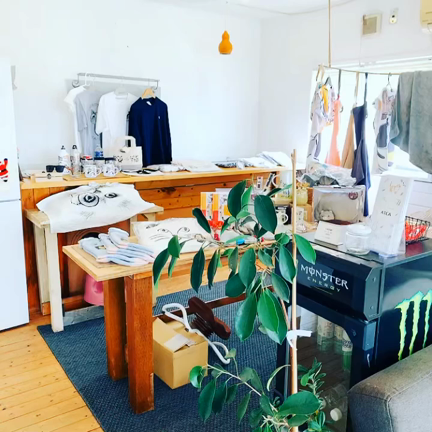 冬向け、あったか可愛いねこグッズ！新入荷しました♀️の記事動画