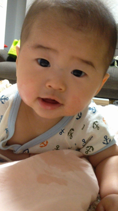 はーふばーすでー。の記事動画