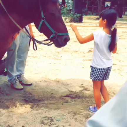 nonhoi park*の記事動画