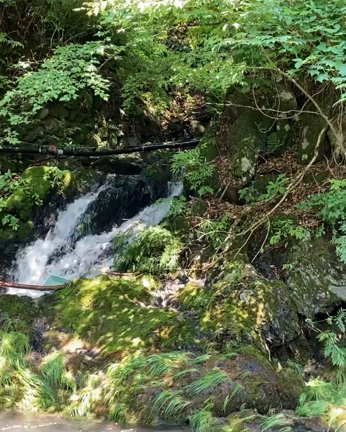 お水のセレモニー✨に参加しましまの記事動画