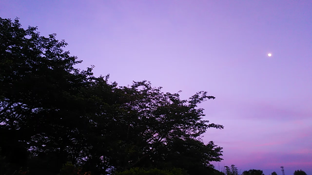 夏が来たよの記事動画