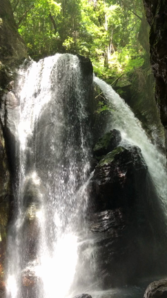 潔くシンプルにの記事動画