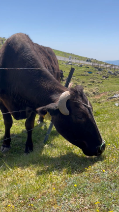 そういえば投稿してない5月の出来事の記事動画