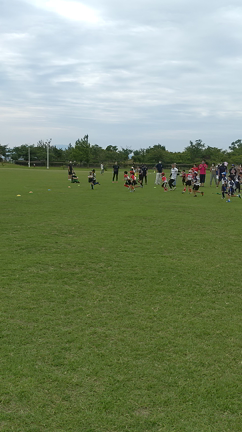 子育ての感動するとき？の記事動画