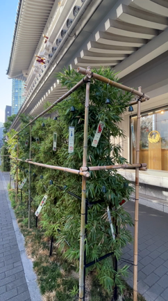 この夏の観劇グルメいろいろ❤️日比谷、銀座、丸の内の記事動画