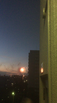 ラッキーの記事動画