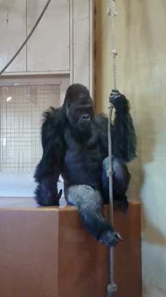 名古屋の旅④の記事動画