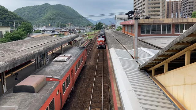 やって来ましたの記事動画