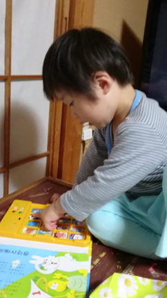 歌った‼の記事動画