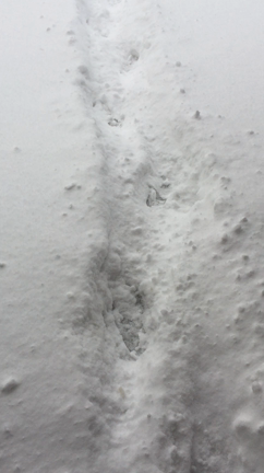 12月16日(土)～ プレオープン決定！！の記事動画