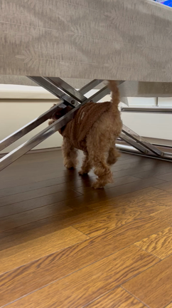 背中が〜の記事動画